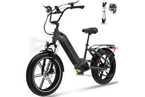 ECORUSH ECO R6 Bici Elettrica, 48V/15,6Ah Bicicletta Elettrica, Telaio ad Alta Resistenza, 20" x4,0 Pneumatico Grasso, 7 Velocità, Doppia Sospensione, Display LCD, Motore da 250W 25 km/h