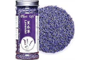 Plant Gift Dried Lavender Flowers 40G/1.41oz 薰衣草 Torkade lavendelblommor- Premiumklass. Perfekt för te, lavendel te bakning, bad. Färsk doft. Glutenfri, icke-GMO