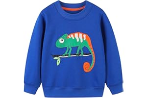 Koonde Boys Dinosaur Jumper Cotton Top Truck Sweatshirt Long Sleeve Tee for Kids Toddler Clothes 1.5-7 years