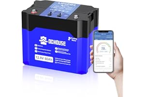 DCHOUSE Batteria LiFePO4 da 12V 50Ah, batterie al litio di grado A, ciclo profondo fino a 4000 volte, sostituisce la scatola del motore da pesca alla traina con porte DC e TypeC, per esterni, camper, barche