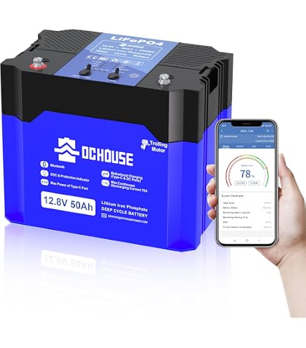 Batterie LiFePO4 12V 12Ah - Décharge Profonde, BMS Intégré, Pour Alarme, Onduleur, Radio, Solaire