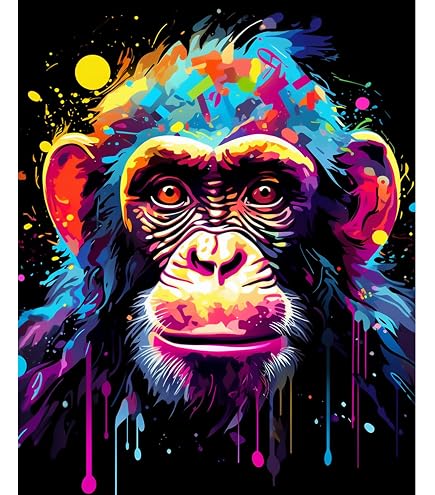 Tucocoo Malen Nach Zahlen Set – Eule Graffiti, 40x50 Cm, Inkl. Leinwand, Acrylfarben, Pinsel & Rahmen