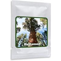 Mammutbaum/Riesenmammutbaum 25 SAMEN - Redwood - Winterhart