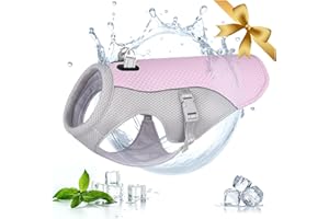 VIVI BEAR Gilet de Refroidissement pour Chien,Harnais de Gilet Refroidissant Chien Manteau de Rafraîchissant Chien,Veste de réglable et Bande réfléchissante Grands Moyens et Petits Chiens