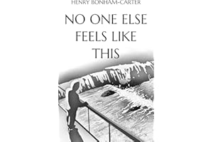 No One Else Feels Like This: A gripping and heartbreaking literary fiction debut novel
