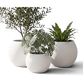 ZEVLİ Japandi Tarzı Modern K&uuml;re Saksı 3'l&uuml; Set - Su Sızdırmaz Dekoratif Salon ve Balkon Saksısı Hediyelik &Ccedil;i&ccedil;eklik Seti (Merm