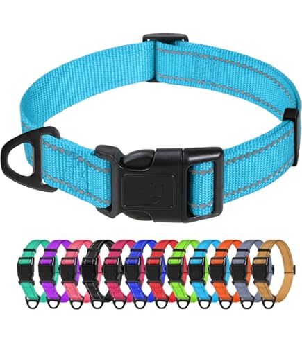 Medaglietta Per Cane A Forma Di Osso - Incisione Laser Personalizzabile Con Nome E Telefono