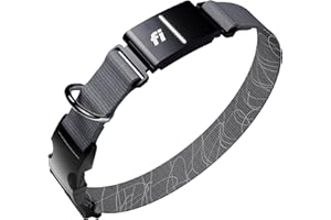 New Fi Series 3+ Smart Dog Collar - GPS Dog Tracker and Activity & New Fitness Monitor, Waterproof, LED Light, Escape Alerts, Nationwide Coverage [Free 6 Month Membership] (Gray, Small)