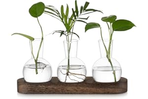 Hewory Propagation Station Propagators for Plants: Desktop Glass Terrarium Bulb Vase Gifts for Plant Lovers - Small Glass Vase Terrarium Jar With Wood Tray For Houseplants Cuttings Windowsill, 3pcs