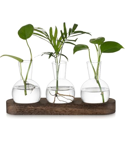 Leuchtende Glasvase Mit LED-Licht & Holzfu  Dimmbare  Pflanzenvermehrungsstation Fr Zuhause & Bro LED Pflanzen Vase