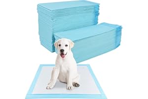 YAMAIDUO 100 Piezas Empapadores Perros, 60 x 60cm Almohadillas Absorbentes, Almohadillas de adiestramiento de Perros y Cachorros, Superficie de Secado Rápido