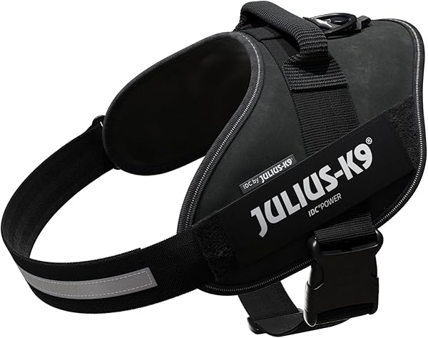Arnés IDC Power, Tamaño: XL/2, Negro - 1