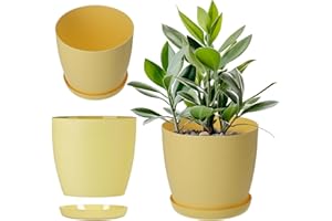 KADAX Macetero con Posavasos, Maceta Redonda de plástico, Maceta Mate para Cactus, helechos, Maceta Brillante para balcón, apartamento y terraza (12 cm, limón)