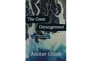 The Great Derangement: Climate Change and the Unthinkable