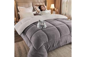 HLTQL Quilt Winter Lamb Velvet King,Thicken Winter Warm Lamb Velvet Comforter,Winter Duvet, Super Soft Warm Lamb Wool Quilt,Suitable for Autumn Winter(01,Pillowcase)