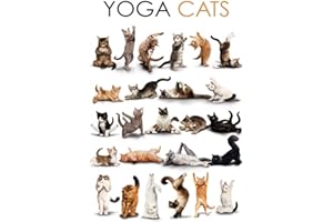 Schatzmix Yoga Cats Plaque Murale en métal Motif Humoristique Multicolore 20 x 30 cm