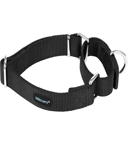 Haoyueer Martingale-Hundehalsband Aus Strapazierfähigem Nylon, Verstellbar Größe M (36–45 Cm), Pfingstrosen-Blumen Design – Perfekt Für Spaziergänge & Training
