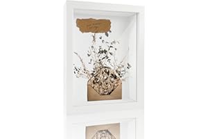 VUVUZULA 3D Bilderrahmen zum Befüllen Weiss Objektrahmen 20x25cm Bilderrahmen Tief 3D Rahmen Tiefer Bilderrahmen zum Befüllen