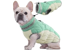 Kuoser Manteau Imperméable pour Chien, Veste d'hiver Chaude pour Chien Coupe-Vent, Gilet Réfléchissant Doublure en Polaire et Col en Fourrure, Vêtements d'Extérieur pour Chiot avec Anneau en D