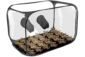 NBBWWU Boîte à air statique, boîte à air pour culture de champignons, conteneur de culture de champignons, sac de plantation, station de propagation de tente de champignon, kit de tente de culture de