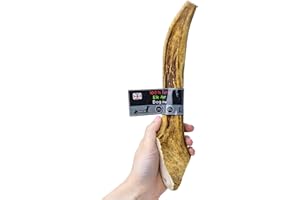 FLOPPY EAR Elk Antler Dog Chews - Naturally Shed, Long Lasting, 100% Natural (Large 160-260g)