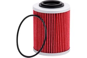 AHL 1 pièce Moto Filtre à huile Pour 2017 Sea-Doo Spark 3 Up 900 HO ACE; 2016 Sea-Doo Spark 3 Up 900 HO ACE;2015 Sea-Doo Spark 3 Up Rotax 900 HO ACEL;2014 Sea-Doo Spark 3 Up Rotax 900 HO ACE