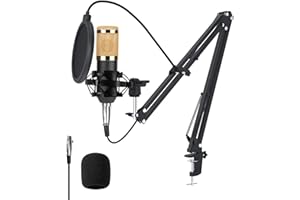 Cocoarm BM 800 Microfono a Condensatore da Studio con Supporto a Braccio, Filtro Anti-pop, Tappo in Schiuma, per Gaming, Registrazione, Podcast, YouTube