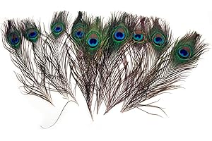 PPX Piume di Pavone Pavone Piume di Coda, per i monili Domestici della Decorazione di DIY Che Fanno L'Arte di Arte del mestiere del Partito Nuziale Nuziale e più-10 Pz (20-25cm)