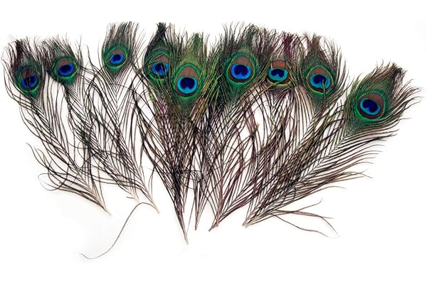 PPX 10 Pièces Plumes de Belle Queue de Paon Naturel Environ 25-30cm pour la Décoration de Bricolage Décoration Spéciale Masque pour fête Costumée