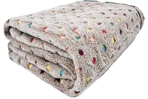 PAWZ Road Soffice Coperta Cane Morbido Caldo Lavabile Copertina Tappeto per Cani Gatti Cuccioli Stuoia Pads (XL 150x200CM, Beige)