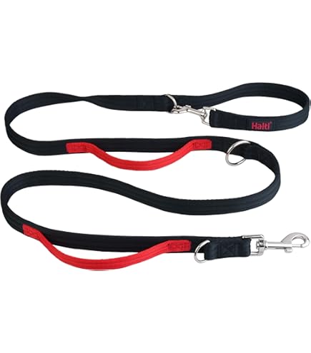 Nomadog Trailblazer Hondenhalsband - Heavy-Duty Tactische Halsband, Verstelbaar, Gewatteerd, Reflecterend, met Controlehandvat, Premium Aluminium Gesp & D-Ring (Trailblazer, S