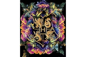 SOMHORN Malen Nach Zahlen Erwachsene, Diy Malen Nach Zahlen Kinder Im Alter Von 8 Bis 12 Jahren,FüR öLmalanfäNger, als Geschenk für Kinder, rahmenlos (16x20inch)