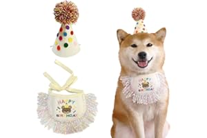 ROHOME Costume da principessa per cuccioli, bandana di compleanno, sciarpa e cappello da festa, grazioso bavaglino in pizzo per cani, sciarpa e cappello di compleanno, set di decorazioni per feste di