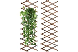 yeesport Wood Expandable Plant Trellis, 2 Pieces, Coffee Color, Rectangular, Plant Support Fence for Climbing Plants, Wall Decor Hanging Frame for Room Garden Patio Indoor Outdoor