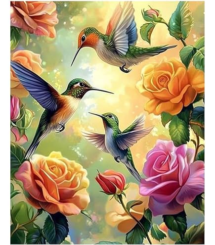 Kit de peinture par numéros pour adultes et femmes, oiseaux pour enfants, débutants avec pinceaux acryliques pigments, dessin, peinture à l'huile par numéros, loisirs créatifs, cadeaux 30,5 x 40,6 cm