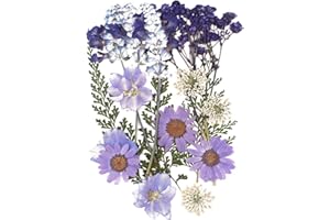 CUIDAKJ 18 Piezas Conjunto de Flores Secas Naturales,Flor Prensada Mezclada Decoraciones Preservadas Manualidades para Velas de Bricolaje,Joyería de Resina Bricolaje Manualidades Resina álbumes de Recortes