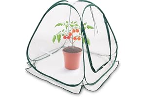 SPETEBO Mini szklarnia z folii pop-up, 60 x 60 cm, mała szklarnia na warzywa, kwiaty i grzyby, przezroczysty namiot zimowy z PCW, nie wymaga montażu