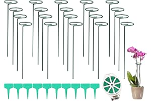 LOSTWRY Lot de 20 supports pour plantes de 30 cm - En acier - Avec anneau de fleurs - Pour fleurs, lys, pivoines, roses, tomates