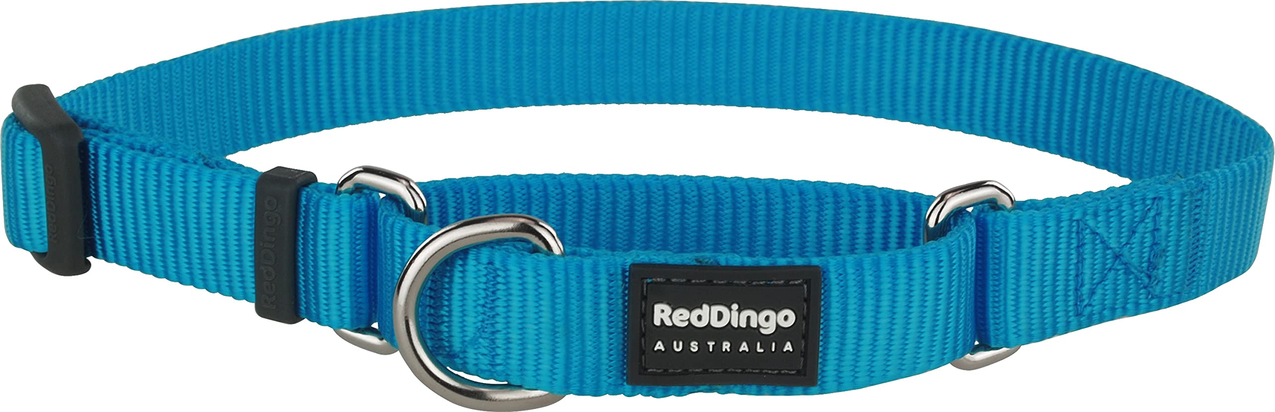 Red Dingo Plain Turquoise Martingale Dog Collar (20mm x 32-47cm