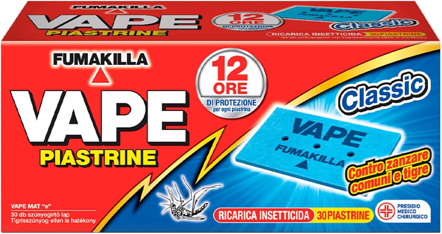 Vue 5