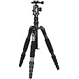 Sirui A1205 Carbon Fiber Tripod with Y-11 Ball Head