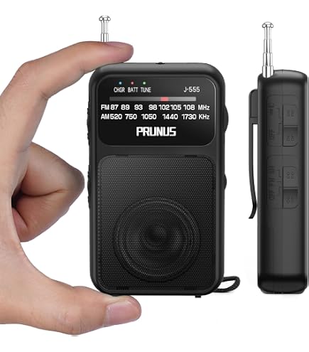 Spirit-Box Sintonizzazione Manuale BC-R60 AM FM Radio Attrezzatura da