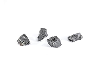 SN NATURSTEIN UG - Pierres Shungit 6-9g | Gemme et Pierre de Carelia - 4 Unités