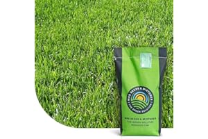 MRS SEEDS & MIXTURES Turbo Green: Semence Gazon Regarnissage | 2 kg - 100 m² | Germination rapide | Gazon dense et bien vert | Grande tolérance au piétinement