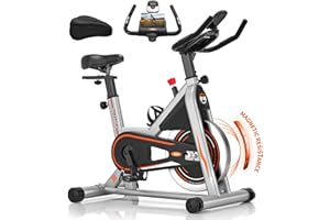 Bicicleta Estatica, Bici Estatica Profesional DMASUN con Mayor Resistencia Magnética, Más Silenciosa, Cómoda y Estable, Capacidad de Carga de Hasta 160 kg (Funda Sillin Bicicleta Estatica Incluida)
