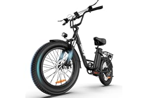URLIFE Bicicletta Elettrica 20 * 3" Fat Tire Per Adulti, 7 Velocità Bici Elettrica da 48V 13Ah Batteria Rimovibile, Autonomia bis zu 100km E-bike Per Pendolari Urbani con Display LCD Colorato