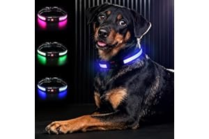 Bamda Light Up Dog Collar, Long-Lasting Power & LED Dog Collar Rechargeable, Waterproof & Safety Flashing Dog Collars for Dark, Adjustable Led Collars for Medium Dogs [Blue-M]