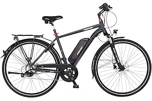 ‎FISCHER FISCHER E-Bike Trekking VIATOR 2.0, Elektrofahrrad für Damen und Herren, Heckmotor 45 Nm, 48 V Akku