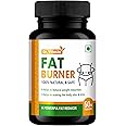 Dr. Vitasta Fat Burner Capsules, 100% Natural, 50N, for Weight Reduction and Slim Body