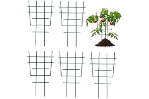 CZLINODUMMX Kunststoff-Pflanzen-Spalier Stützrahmen Pflanzen Blumenstütze Topfpflanzen-Rankhilfe Rankgitter für Topfpflanzen für Kletterpflanzen Tomaten Gartenpflanzen Rankgitter PP-Pflanzenstielstütze 5 Stück